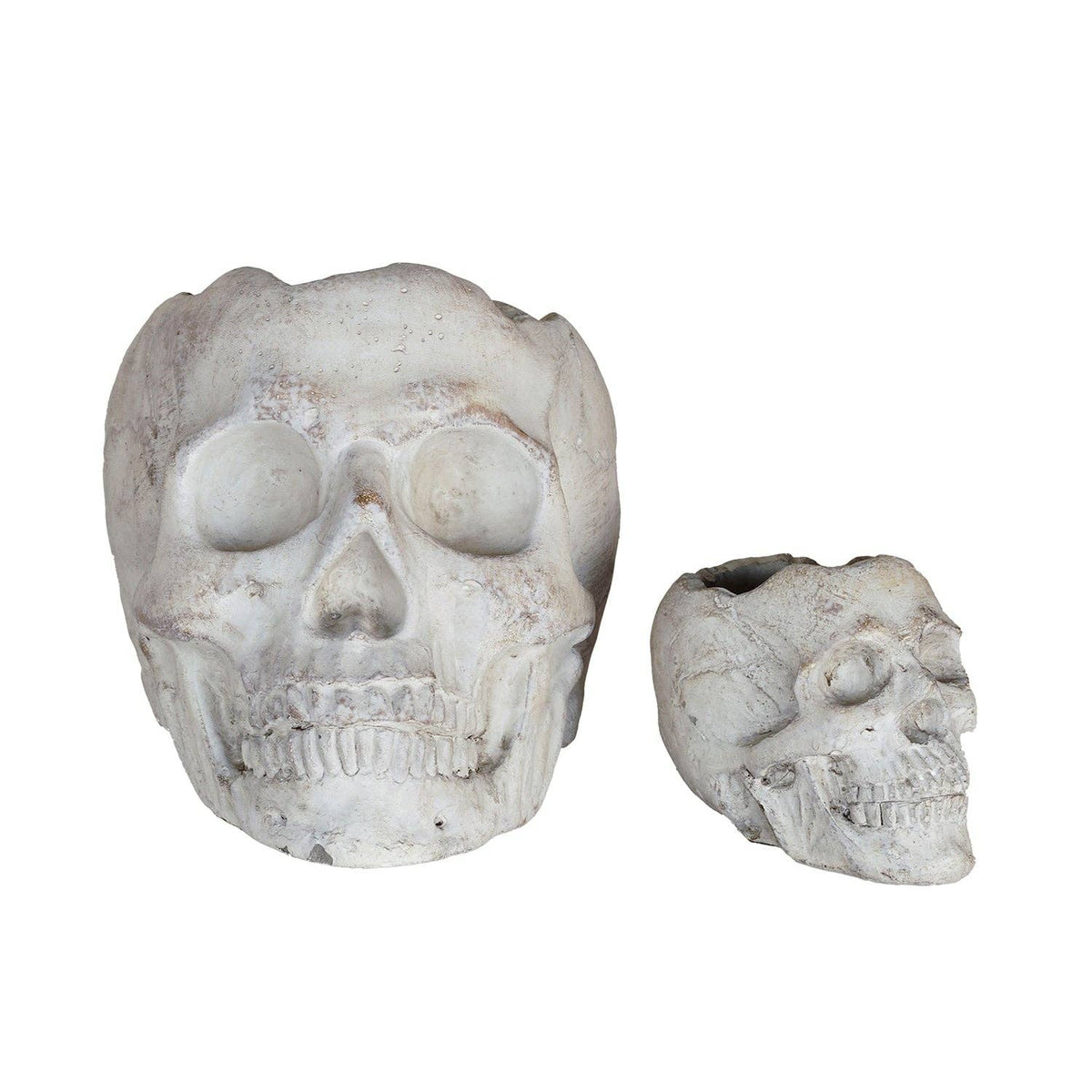 Concrete Momento Mori Skull: Small