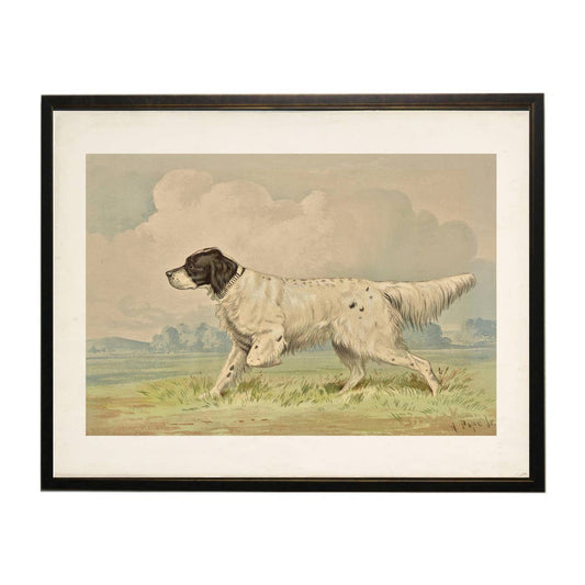 Framed 10" X 8" Vintage Spotted Retriever on Distressed Background