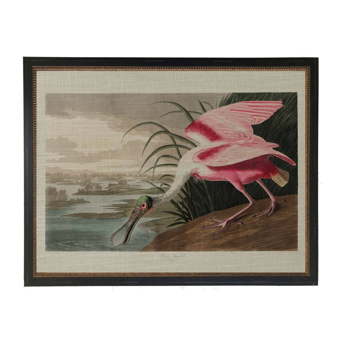 Framed 10" X 8" Vintage Waterbird on Linen Print
