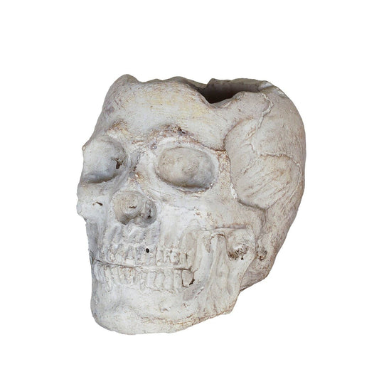 Concrete Momento Mori Skull: Small