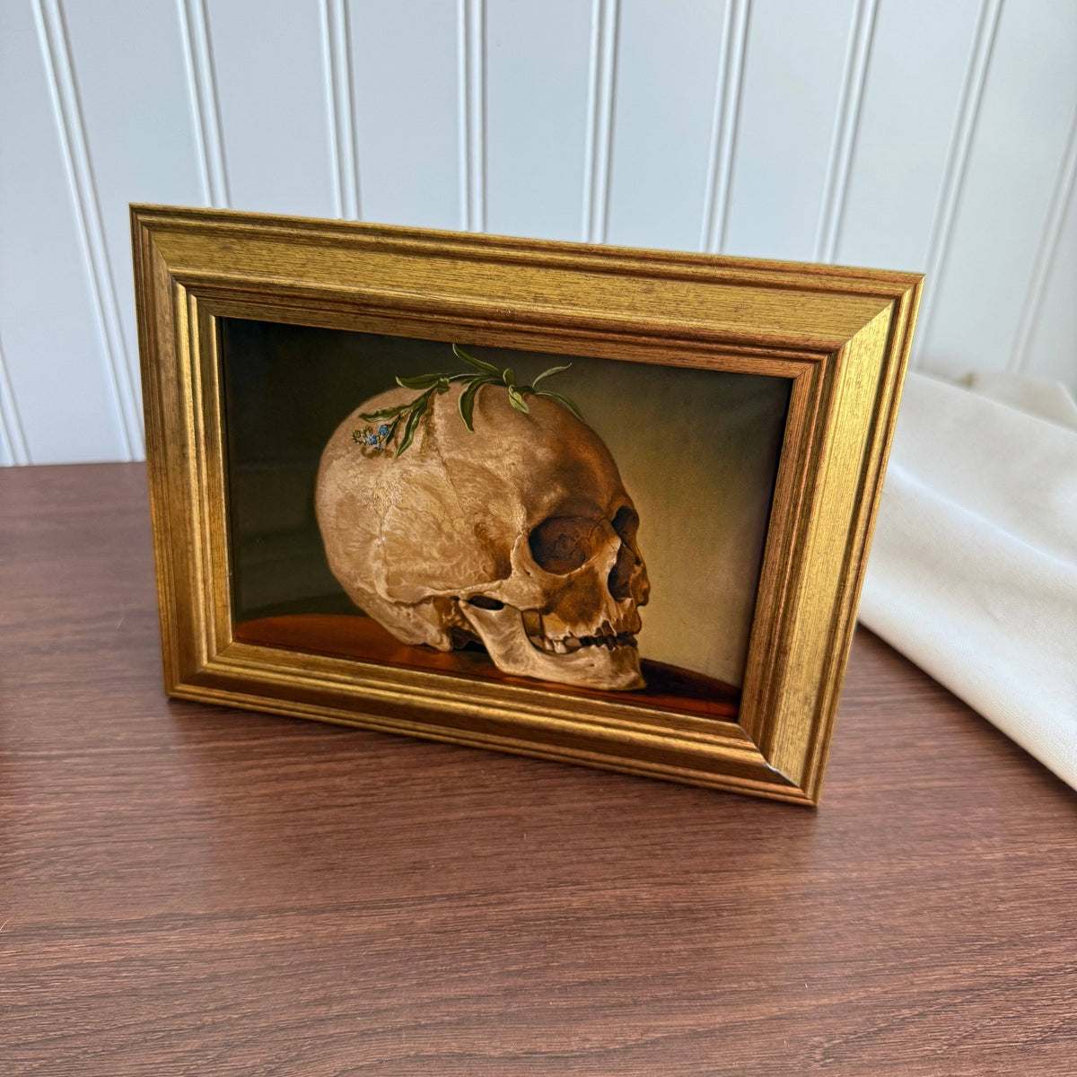 Framed Vintage Style Skull Still Life Art Print