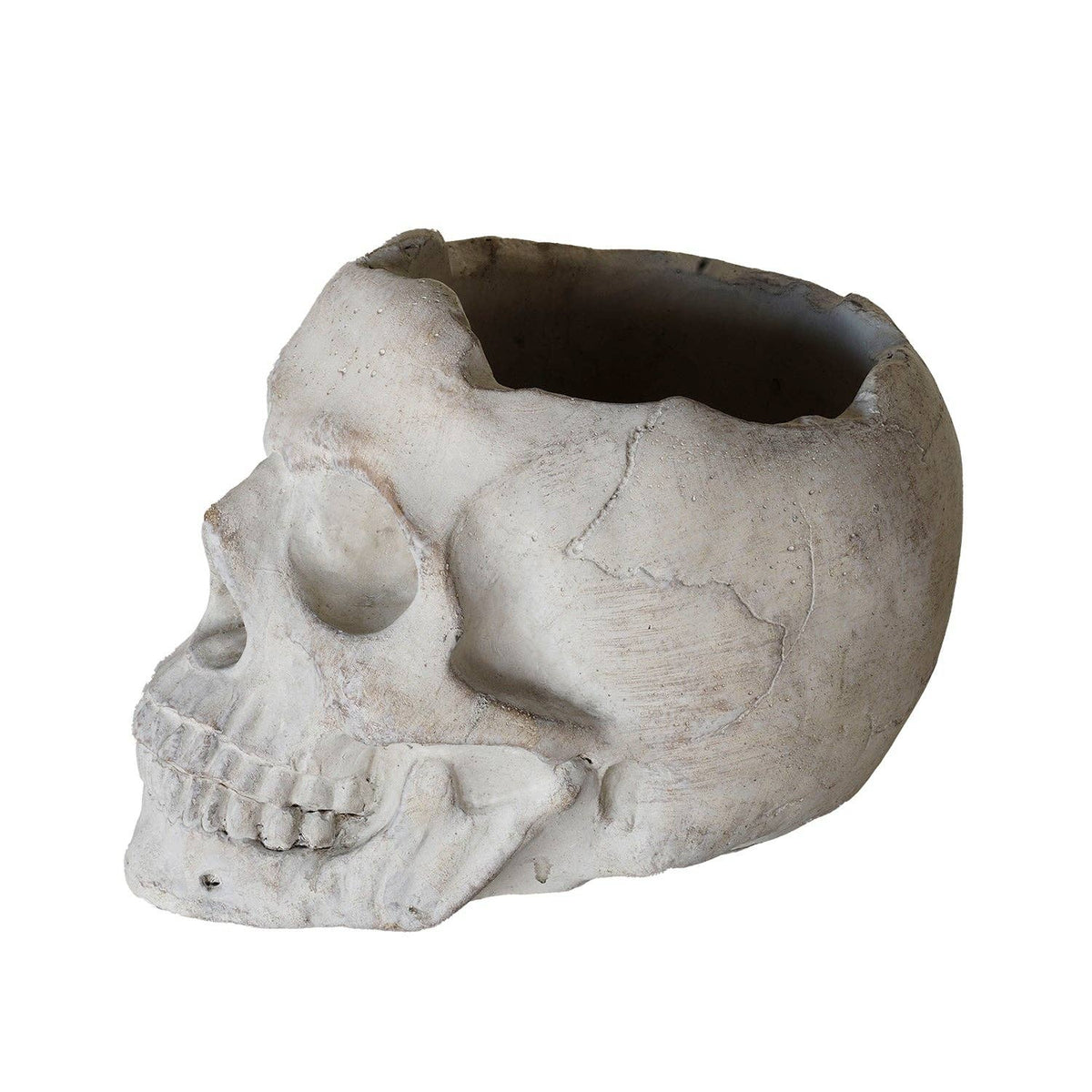 Concrete Momento Mori Skull: Small