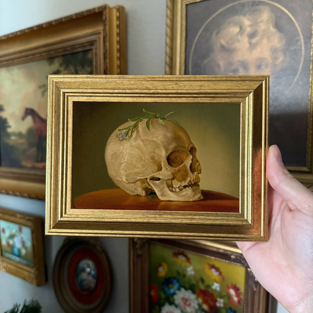 Framed Vintage Style Skull Still Life Art Print