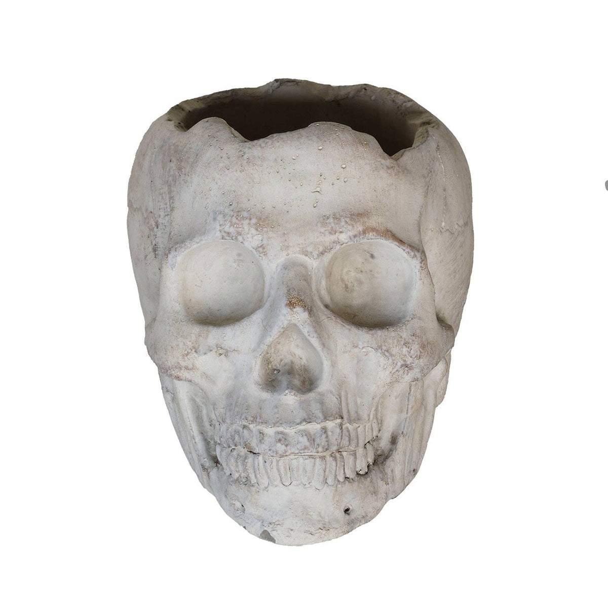 Concrete Momento Mori Skull: Small