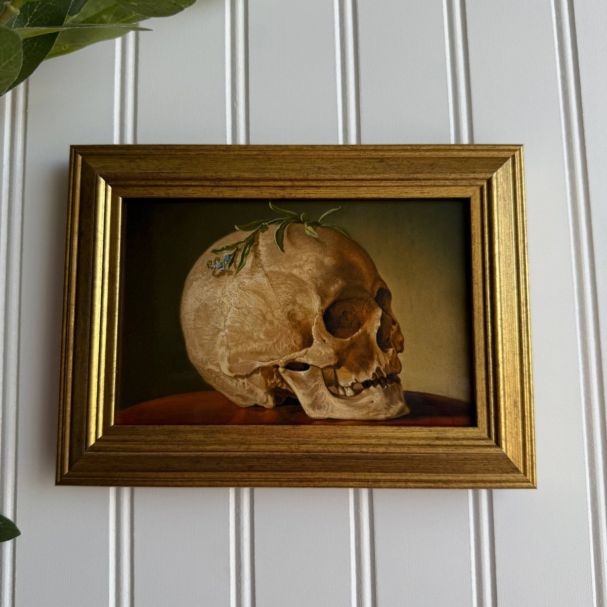 Framed Vintage Style Skull Still Life Art Print