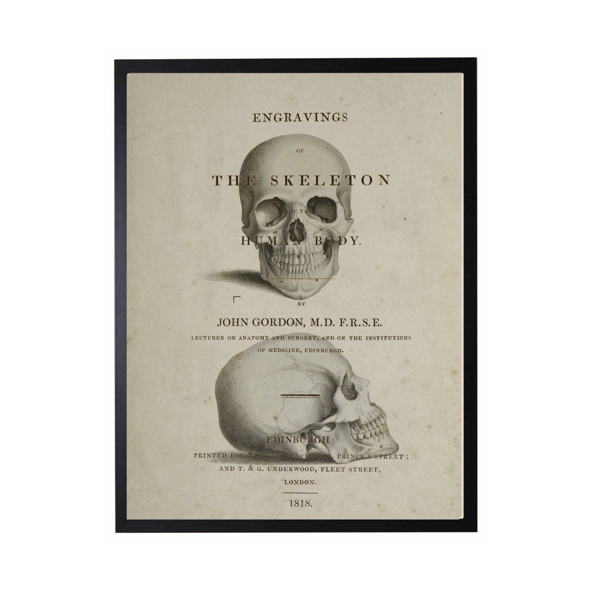 Framed 8" X 10" Skull Poster