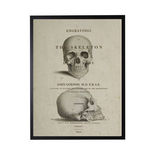 Framed 8" X 10" Skull Poster