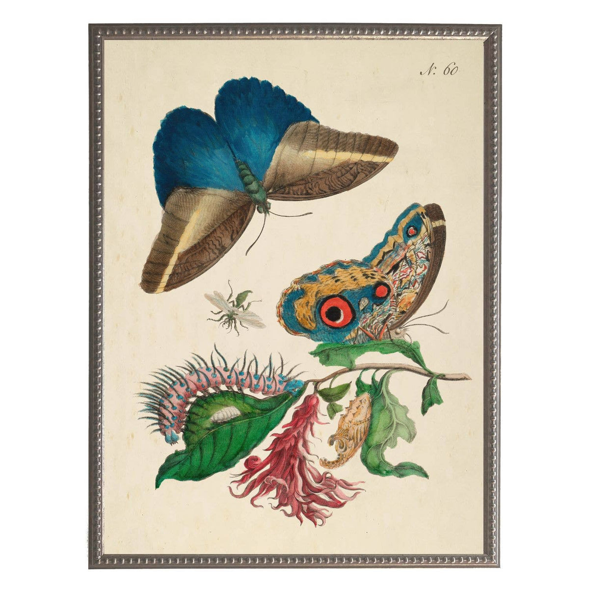 Framed 8" X 10" Vintage Butterflies and Flowers Bookplate Print