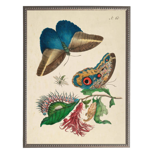 Framed 8" X 10" Vintage Butterflies and Flowers Bookplate Print